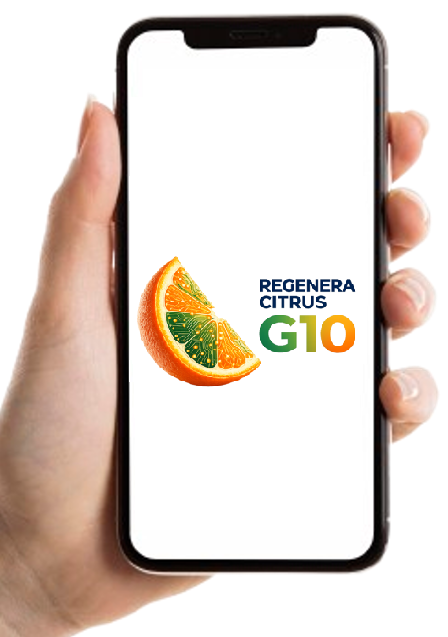 App G10