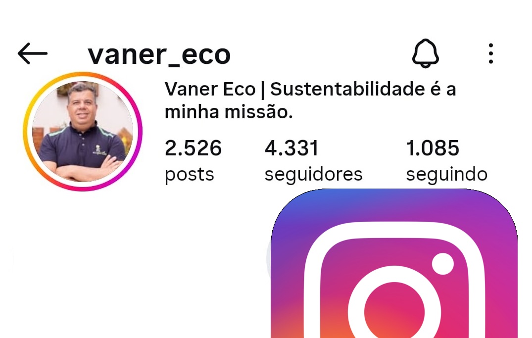 Vaner instagram redes sociais